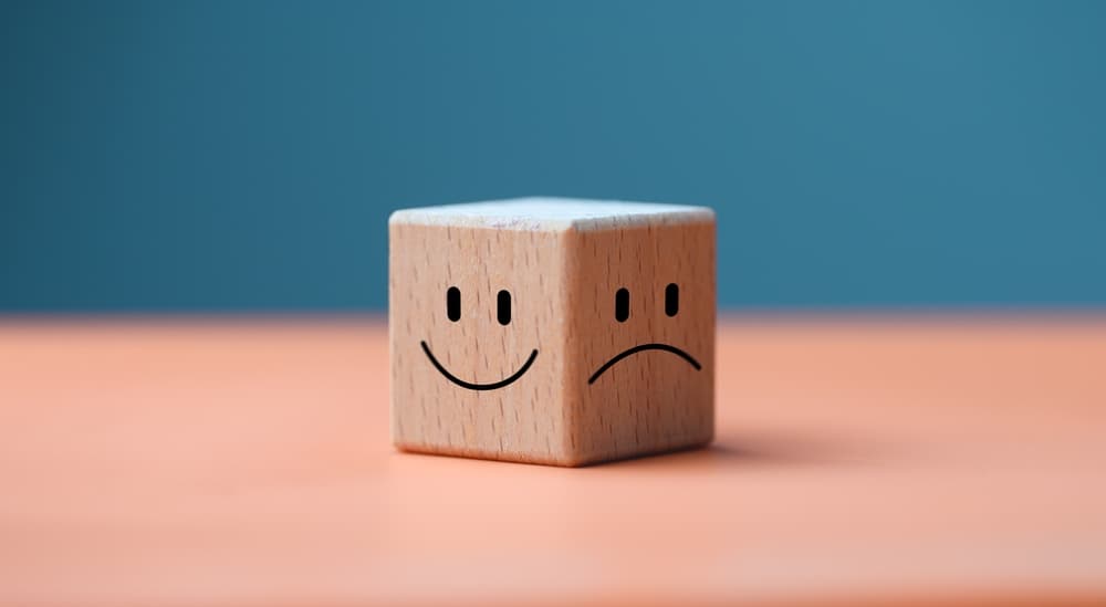 shutterstock 2176918815